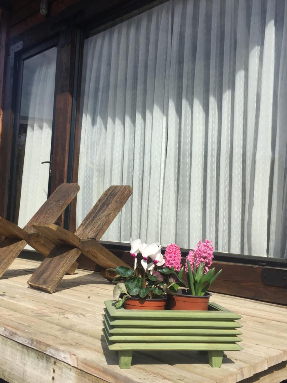 Palo Santo Bed and Breakfast Pichilemu Εξωτερικό φωτογραφία