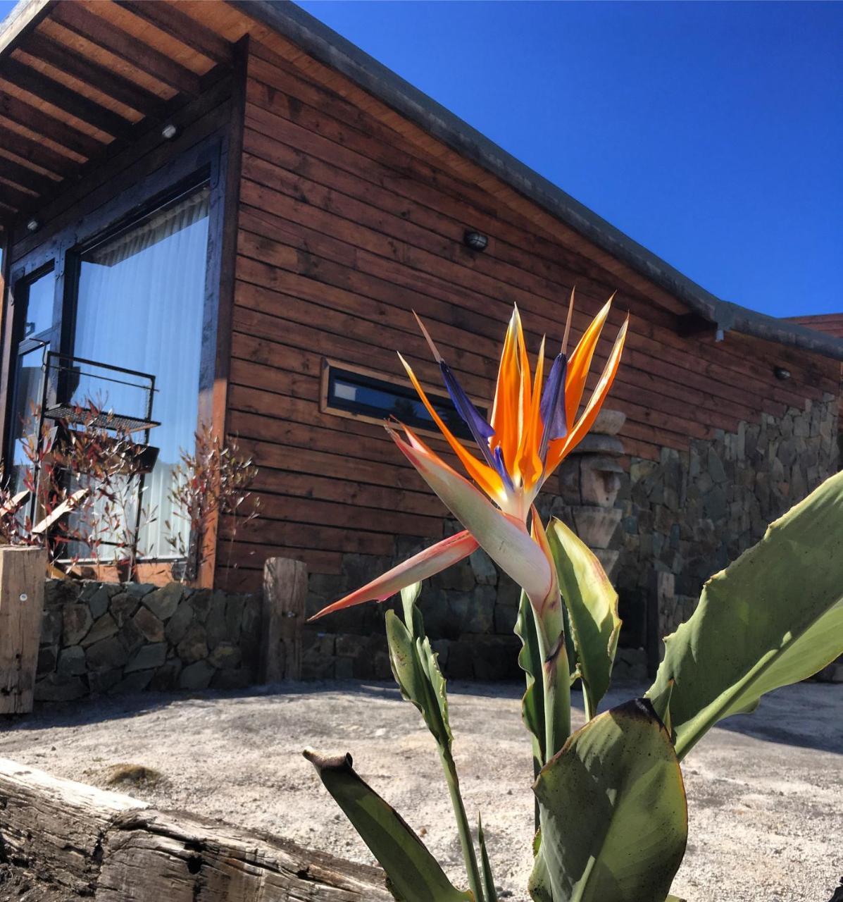 Palo Santo Bed and Breakfast Pichilemu Εξωτερικό φωτογραφία