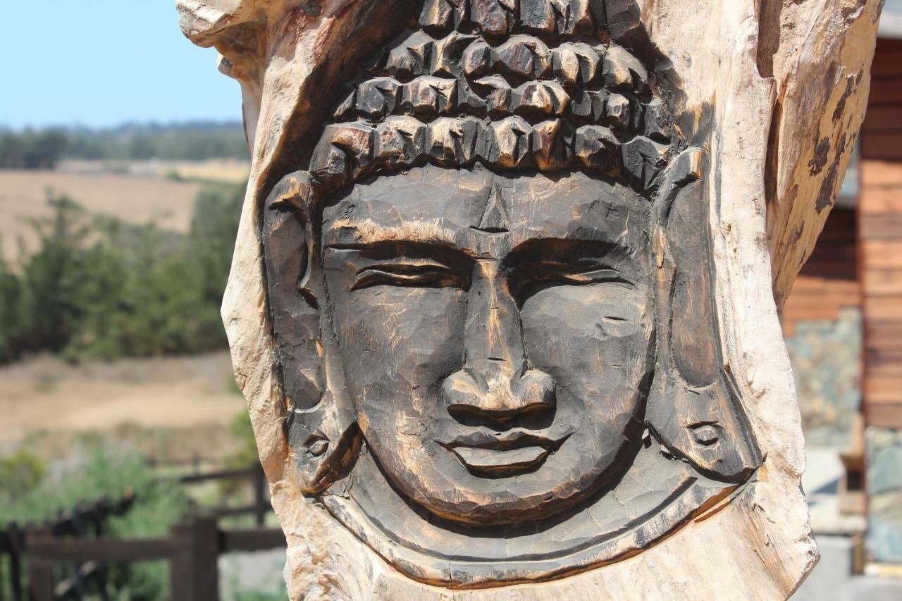 Palo Santo Bed and Breakfast Pichilemu Εξωτερικό φωτογραφία